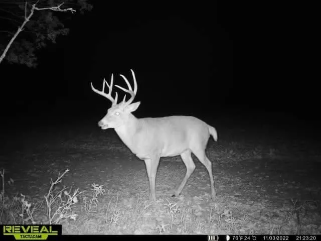 $1,272,000 | 0 70th Street, Piedmont, KS 67122