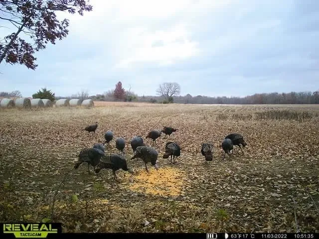 $1,272,000 | 0 70th Street, Piedmont, KS 67122