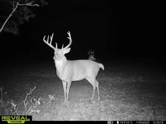 $1,272,000 | 0 70th Street, Piedmont, KS 67122