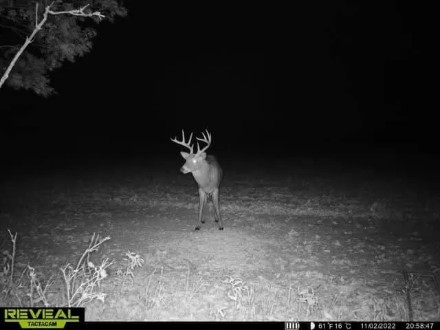 $1,272,000 | 0 70th Street, Piedmont, KS 67122