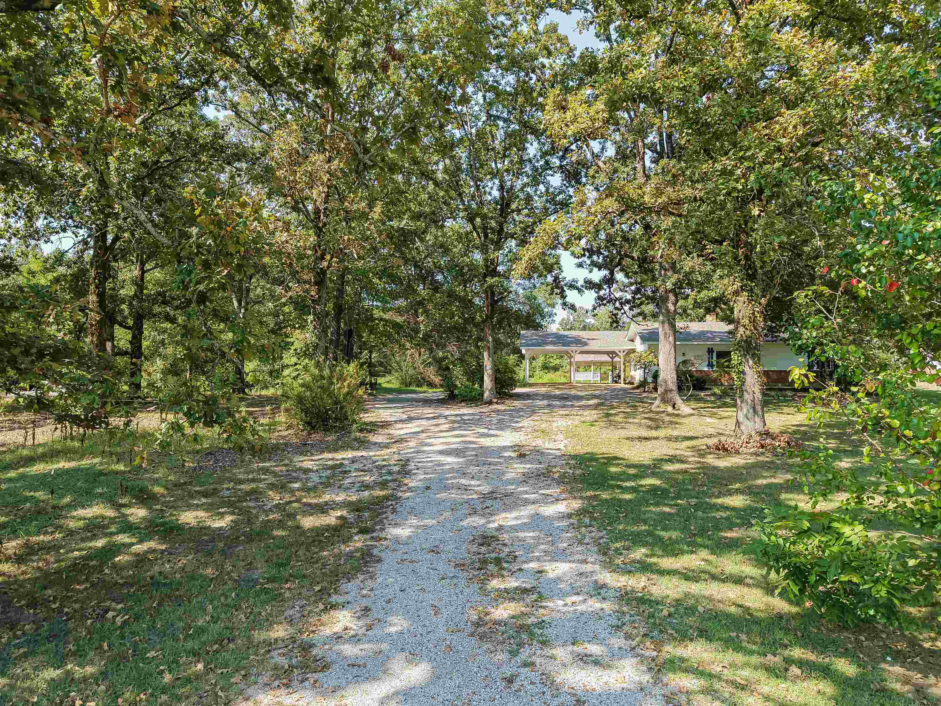 7437 Highway 45 Ramer, TN 38367 - Photo 3 of 36 Gravel driveway extending through a treed lot, showcasing a single-story residence with a covered carport