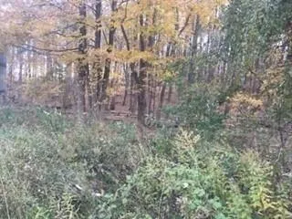 $650,000 | 2452 Highway 52, Hopewell Junction, NY 12533