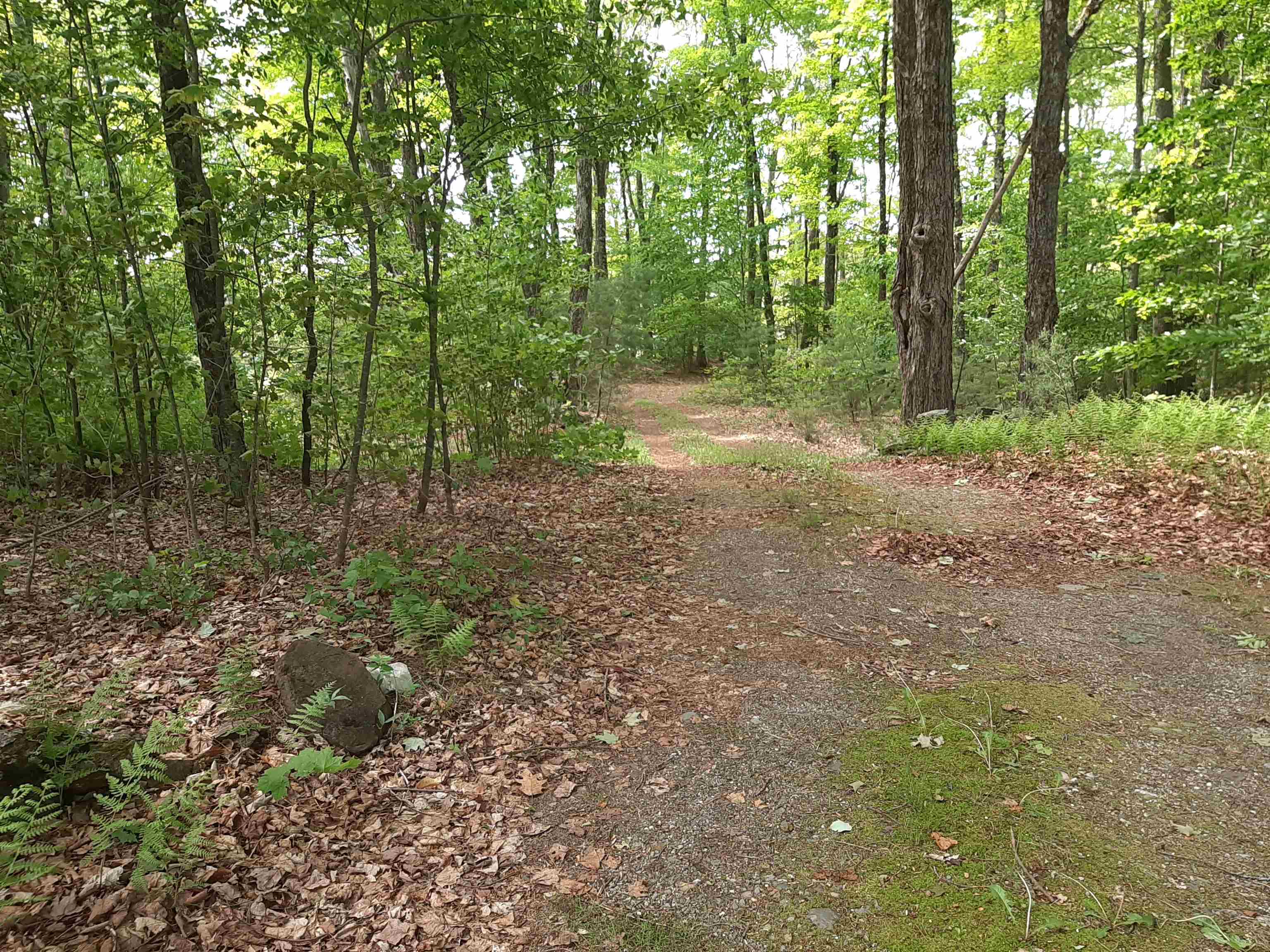 637 Sam Putnam Road Charlestown, NH 03603 - Photo 3 of 18