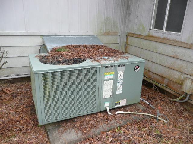 3186 South Lizella Road Lizella, GA 31052 - Photo 19 of 26 Additional Photo