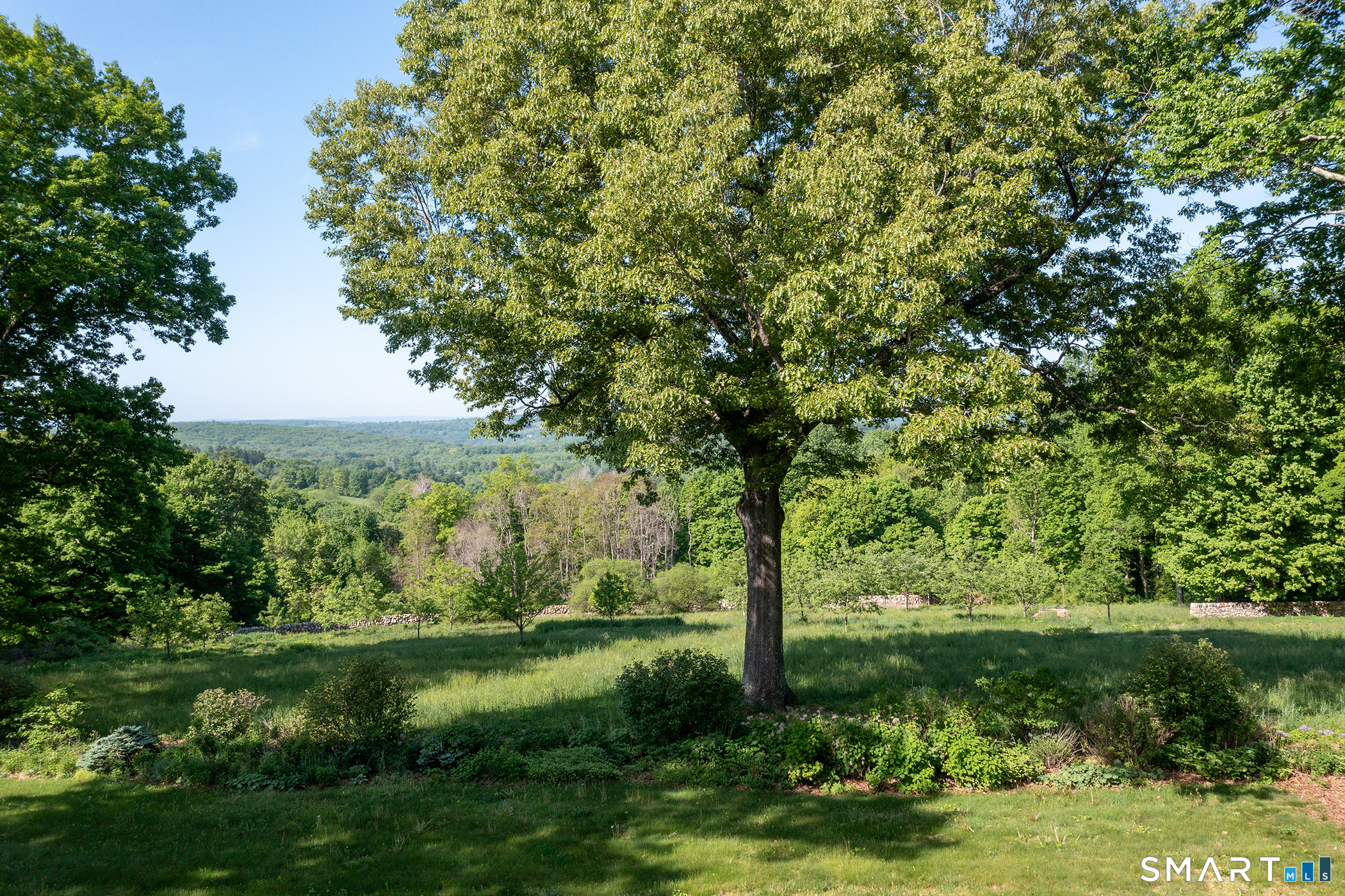 20 Painter Hill Road Roxbury, CT 06783 - Photo 17 of 18 a view of a garden with a tree
