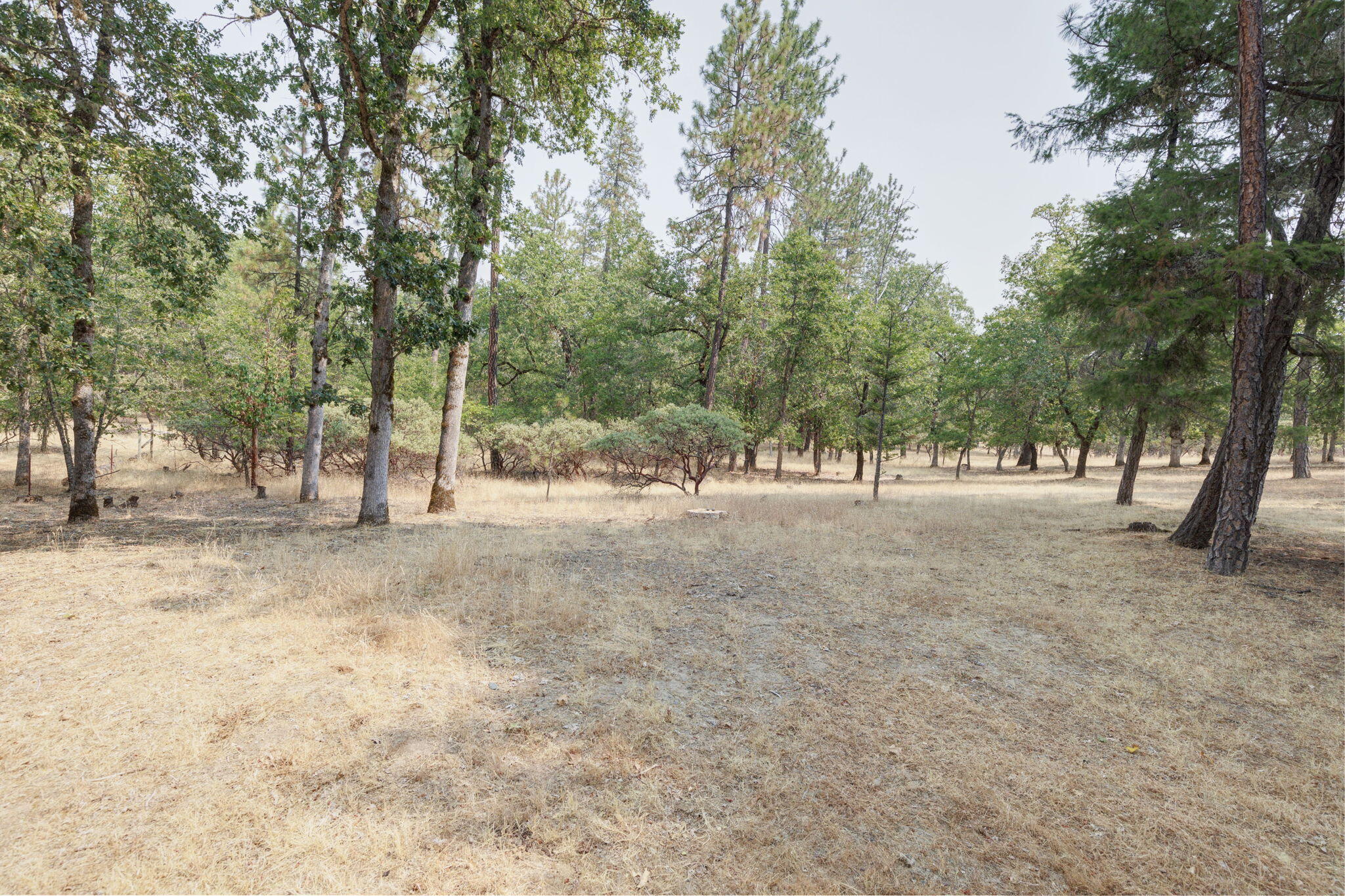 2040 Robertson Bridge Road Grants Pass, OR 97526 - Photo 36 of 39 a view of outdoor space with trees