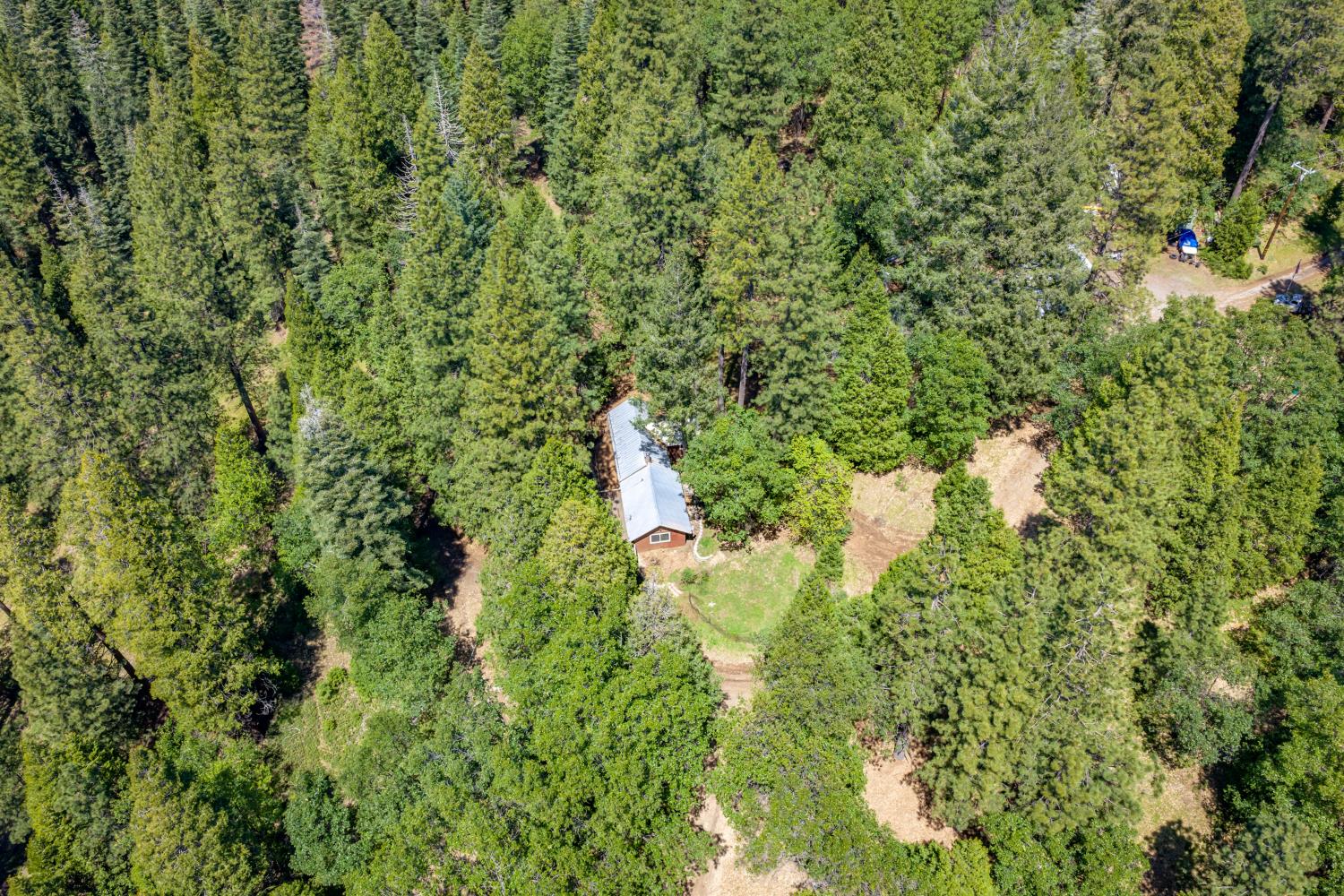 6420 Starkes Grade Road Pollock Pines, CA 95726 - Photo 32 of 58 a backyard of a house with lots of green space