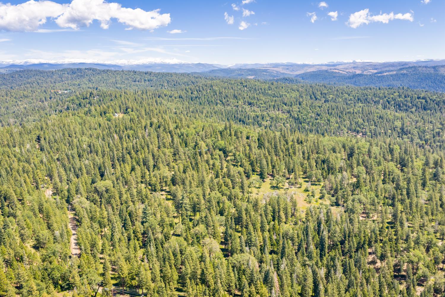 6420 Starkes Grade Road Pollock Pines, CA 95726 - Photo 37 of 58 a view of a city with lush green forest