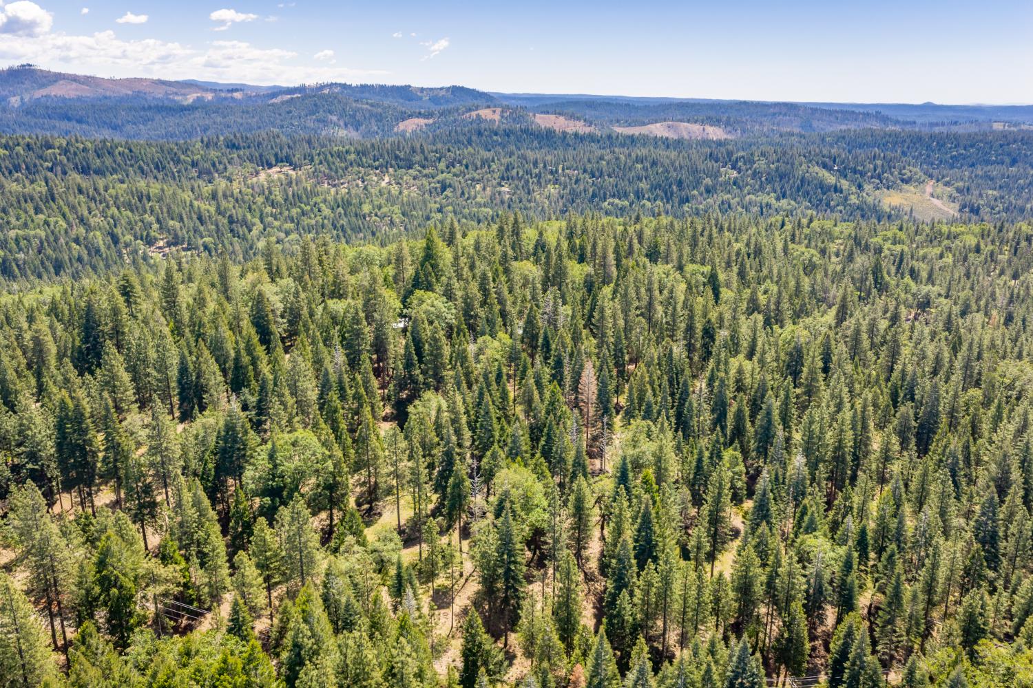 6420 Starkes Grade Road Pollock Pines, CA 95726 - Photo 38 of 58 a view of a lush green hillside and a mountain view