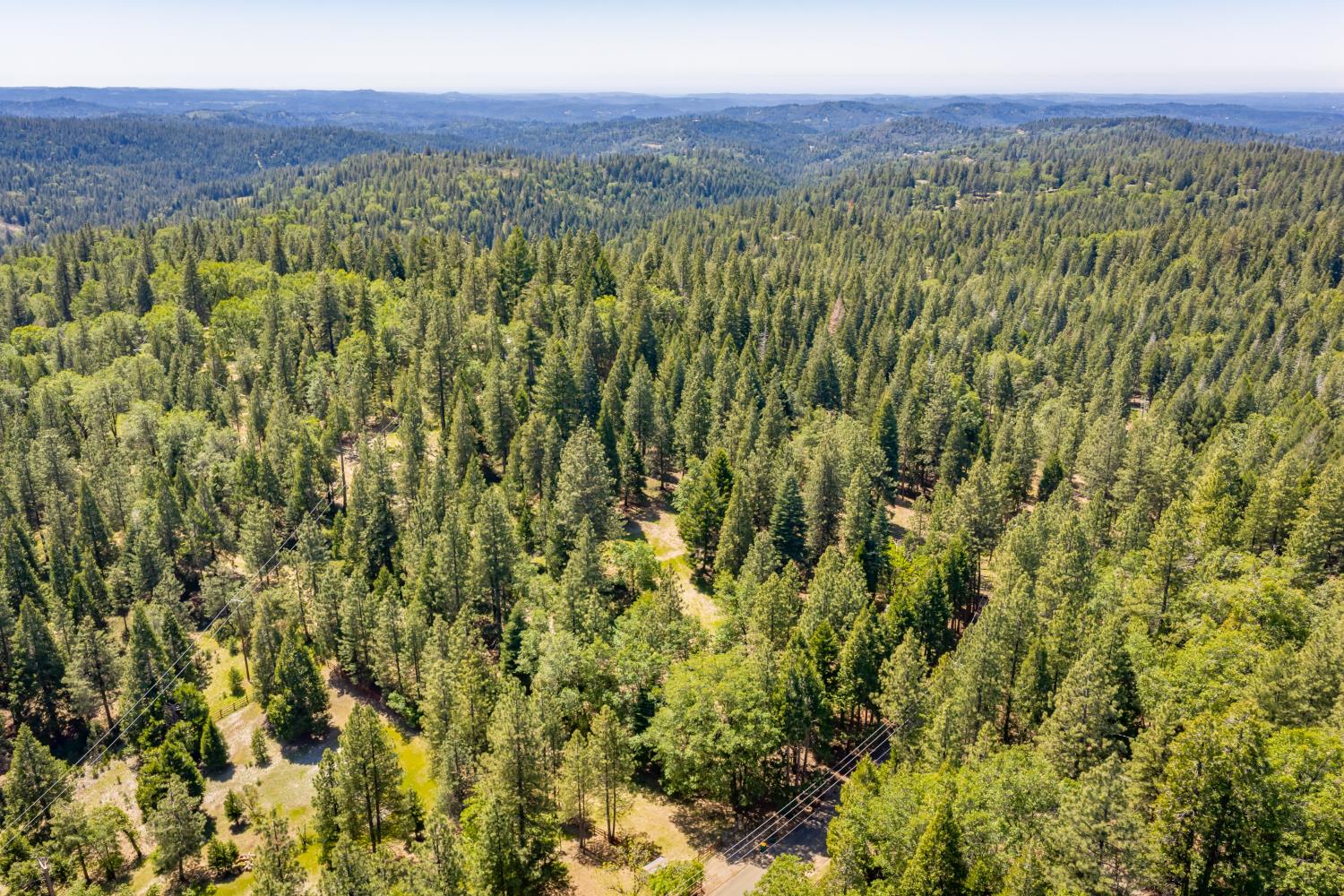 6420 Starkes Grade Road Pollock Pines, CA 95726 - Photo 39 of 58 a view of a forest with a street