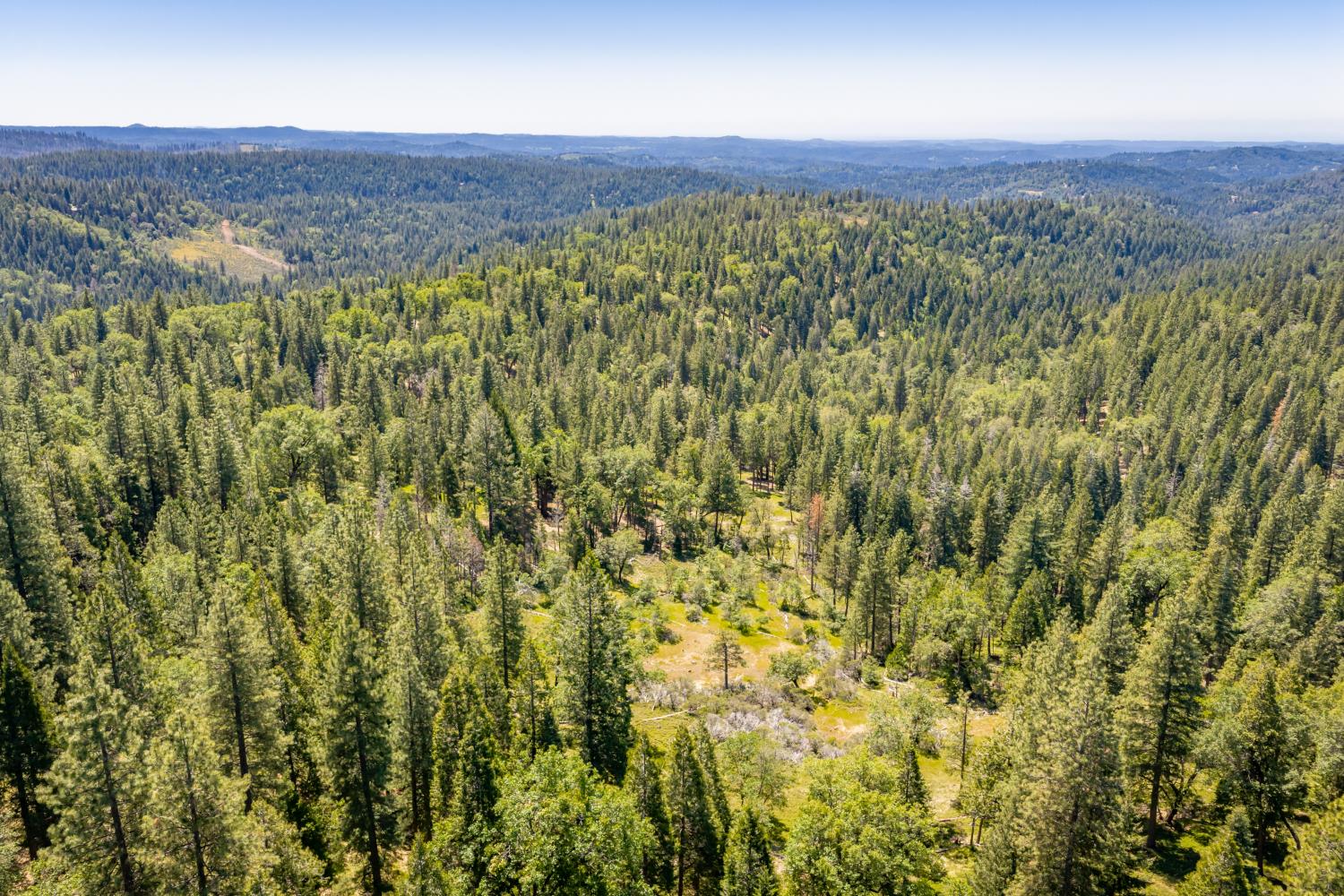 6420 Starkes Grade Road Pollock Pines, CA 95726 - Photo 42 of 58 a view of a lush green field with a mountain in the background