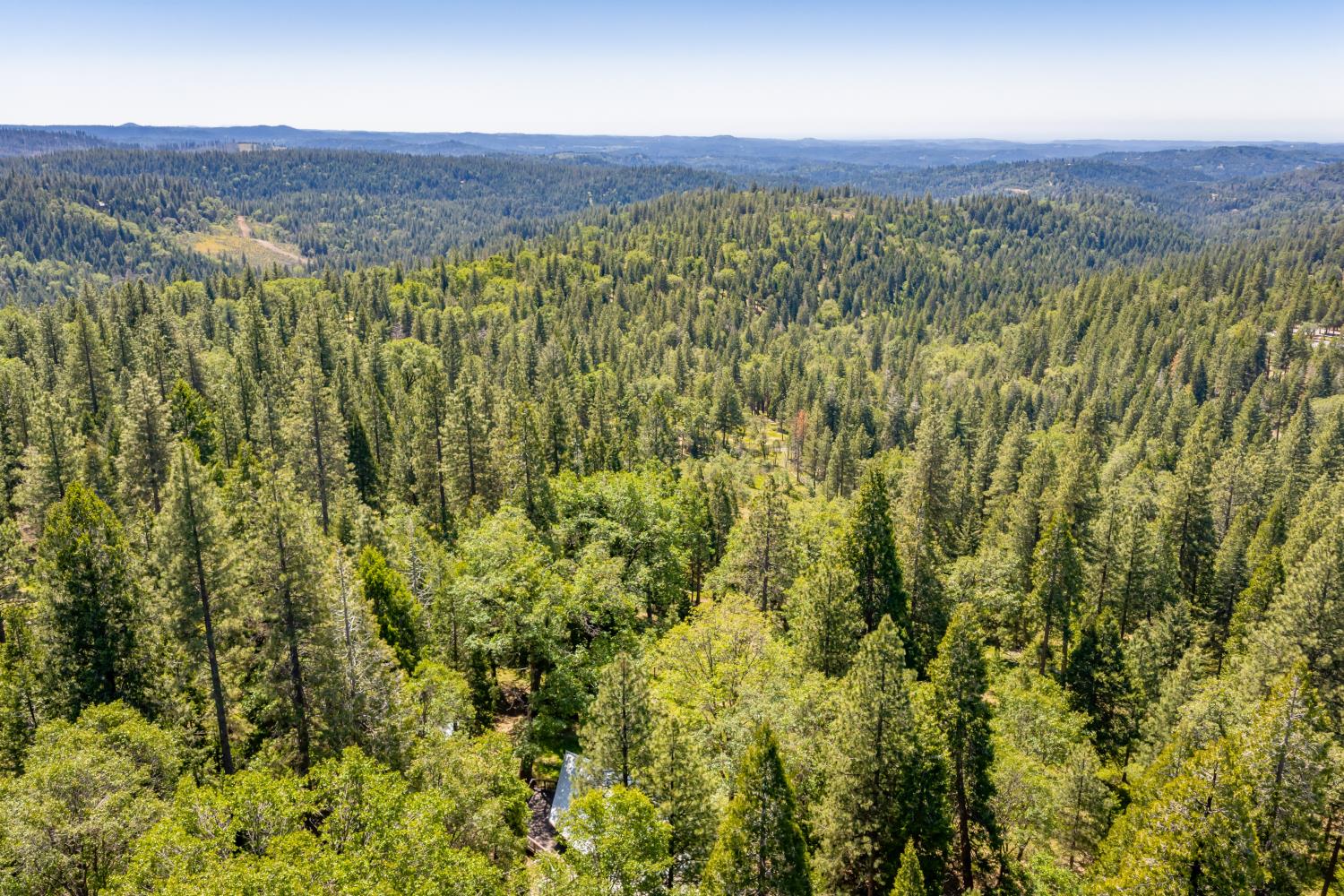 6420 Starkes Grade Road Pollock Pines, CA 95726 - Photo 43 of 58 a view of a lush green field with lots of bushes