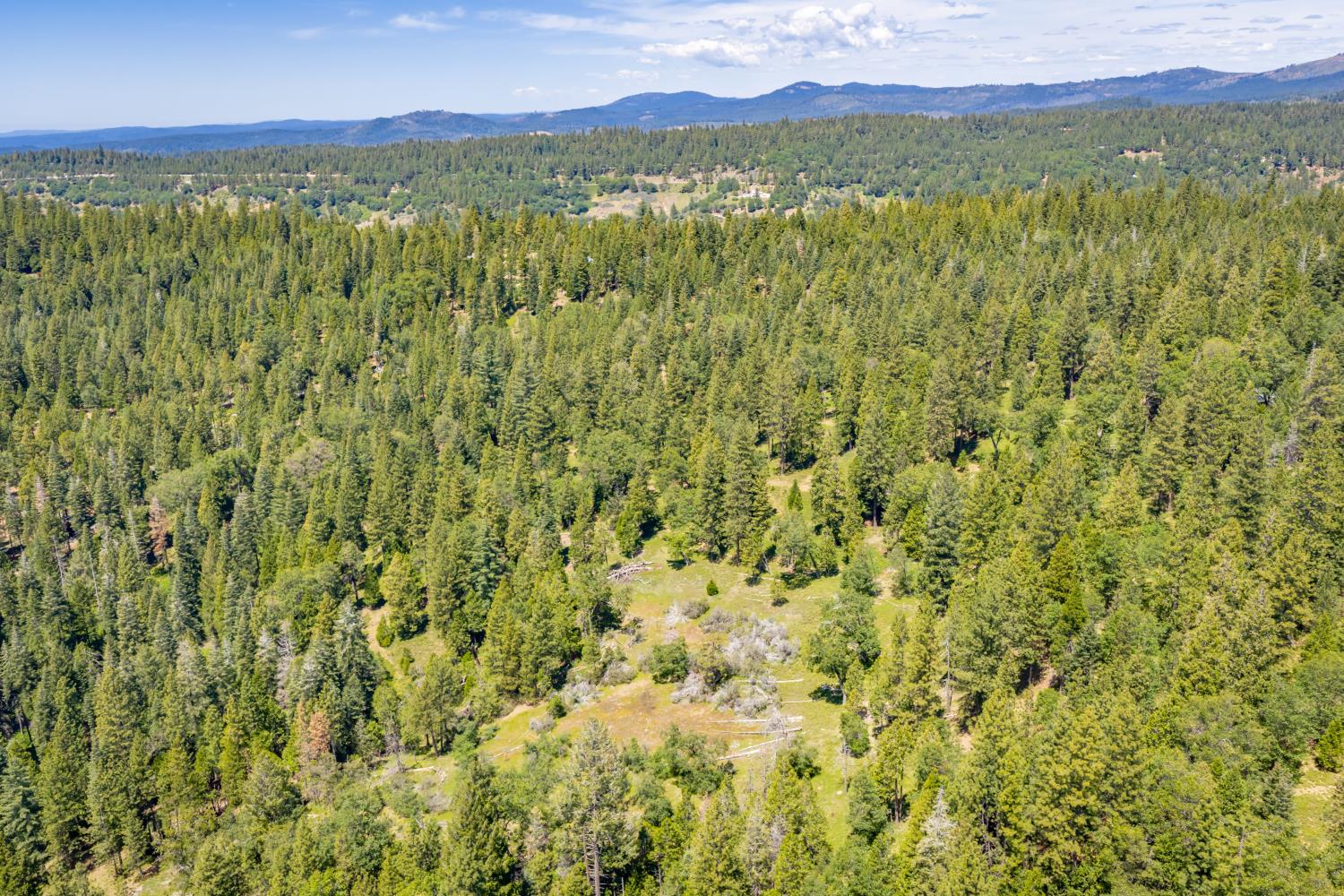 6420 Starkes Grade Road Pollock Pines, CA 95726 - Photo 44 of 58 a view of a lush green hillside and a houses