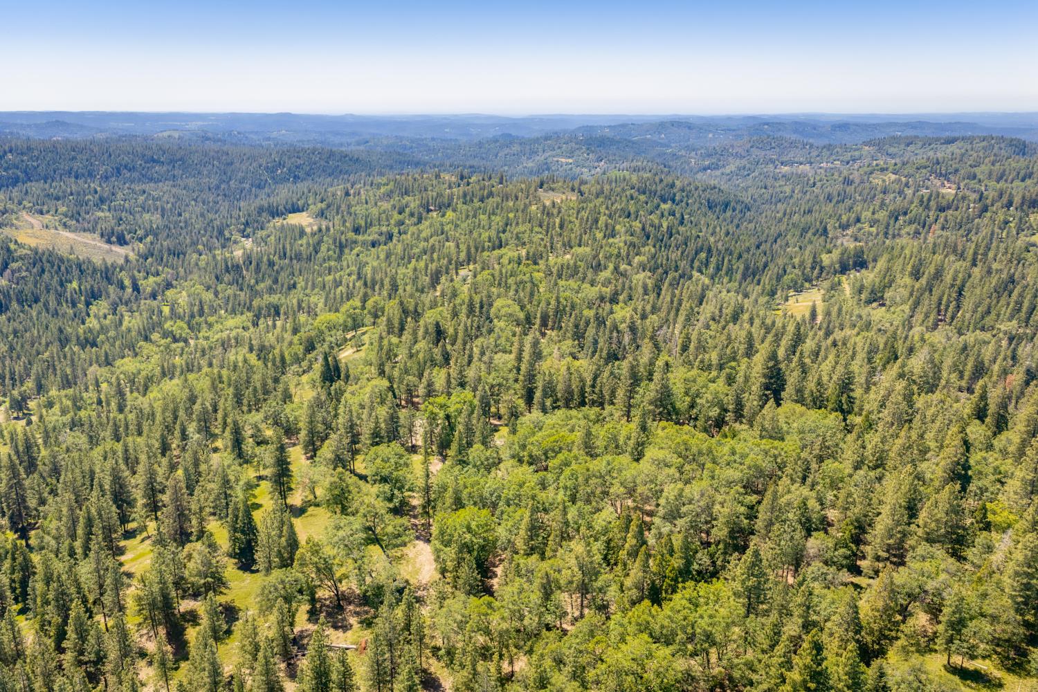 6420 Starkes Grade Road Pollock Pines, CA 95726 - Photo 46 of 58