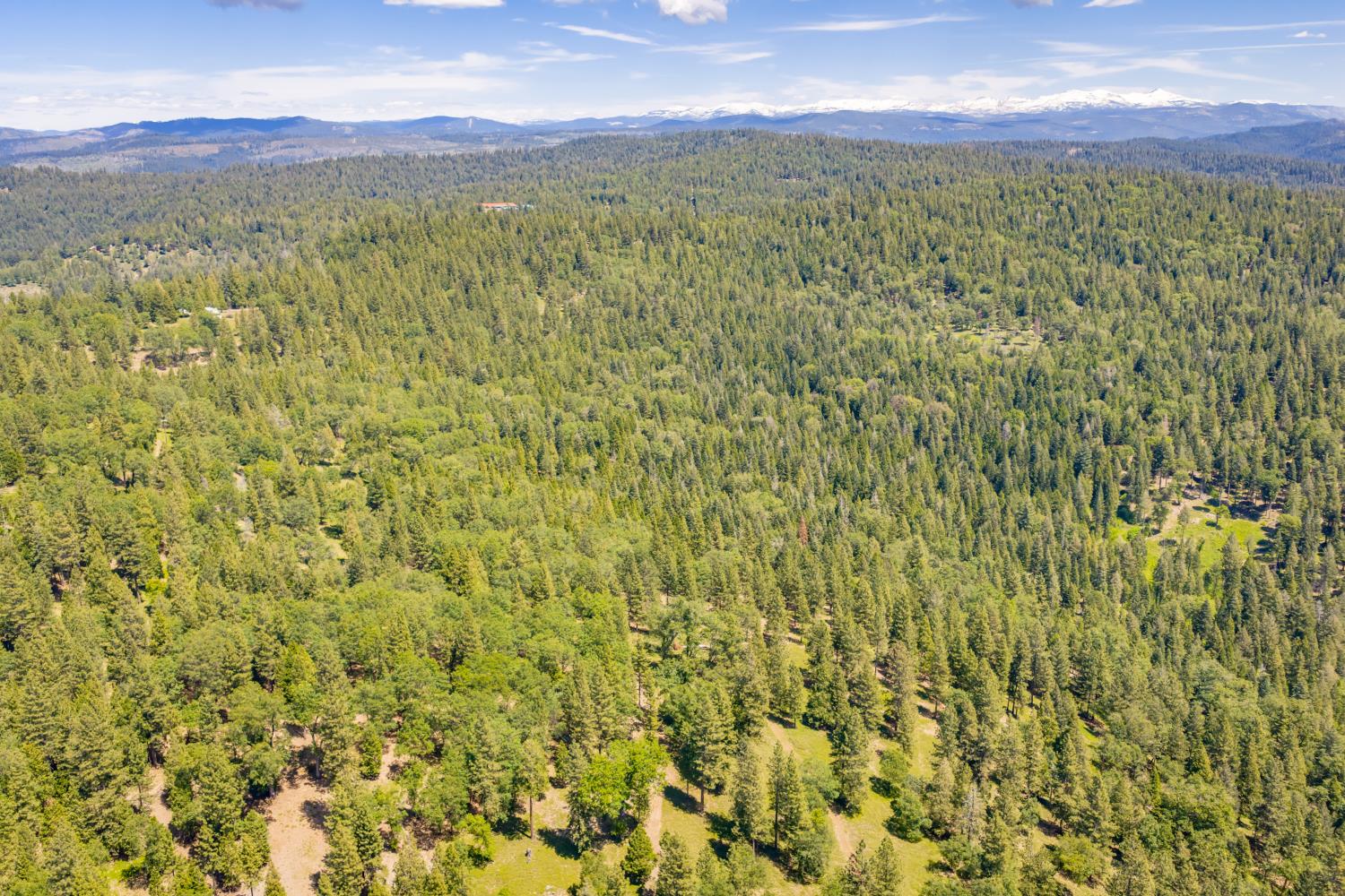 6420 Starkes Grade Road Pollock Pines, CA 95726 - Photo 47 of 58