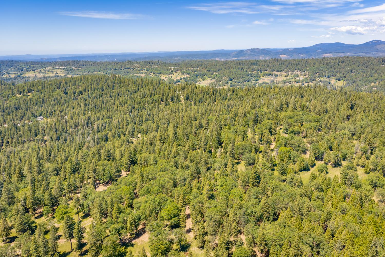6420 Starkes Grade Road Pollock Pines, CA 95726 - Photo 48 of 58 a view of a city with lush green forest