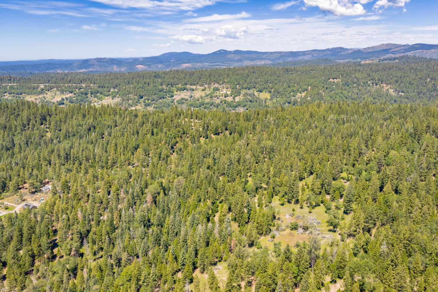 6420 Starkes Grade Road Pollock Pines, CA 95726 - Photo 51 of 58 a view of a lush green hillside and a houses