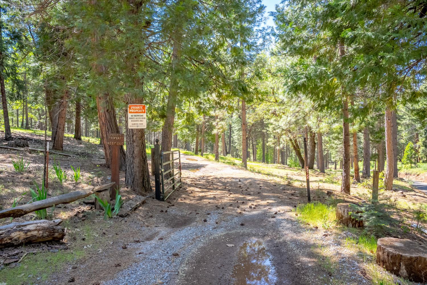 6420 Starkes Grade Road Pollock Pines, CA 95726 - Photo 52 of 58 a view of a park with tree s