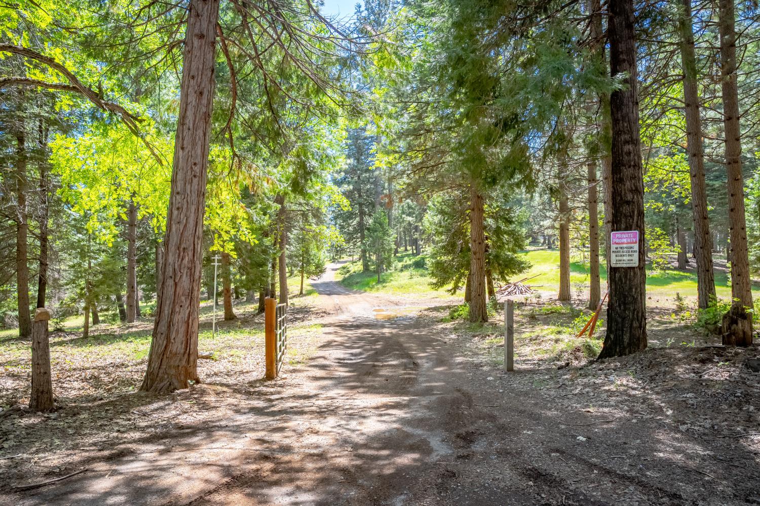 6420 Starkes Grade Road Pollock Pines, CA 95726 - Photo 54 of 58 a view of outdoor space with deck and trees