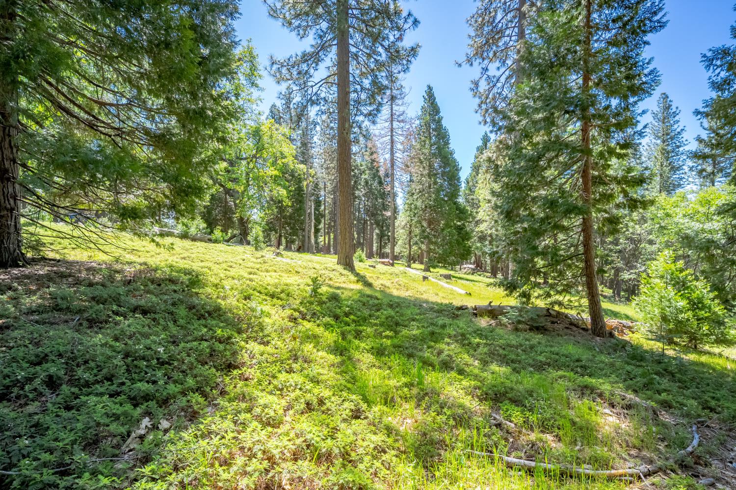 6420 Starkes Grade Road Pollock Pines, CA 95726 - Photo 56 of 58 a view of outdoor space with deck and yard