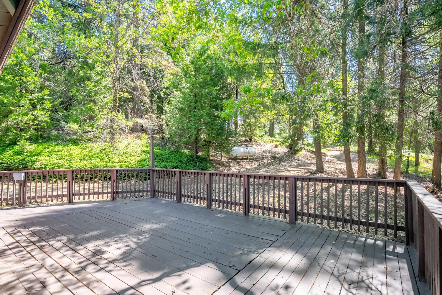 6420 Starkes Grade Road Pollock Pines, CA 95726 - Photo 6 of 58 a view of a backyard with a large tree