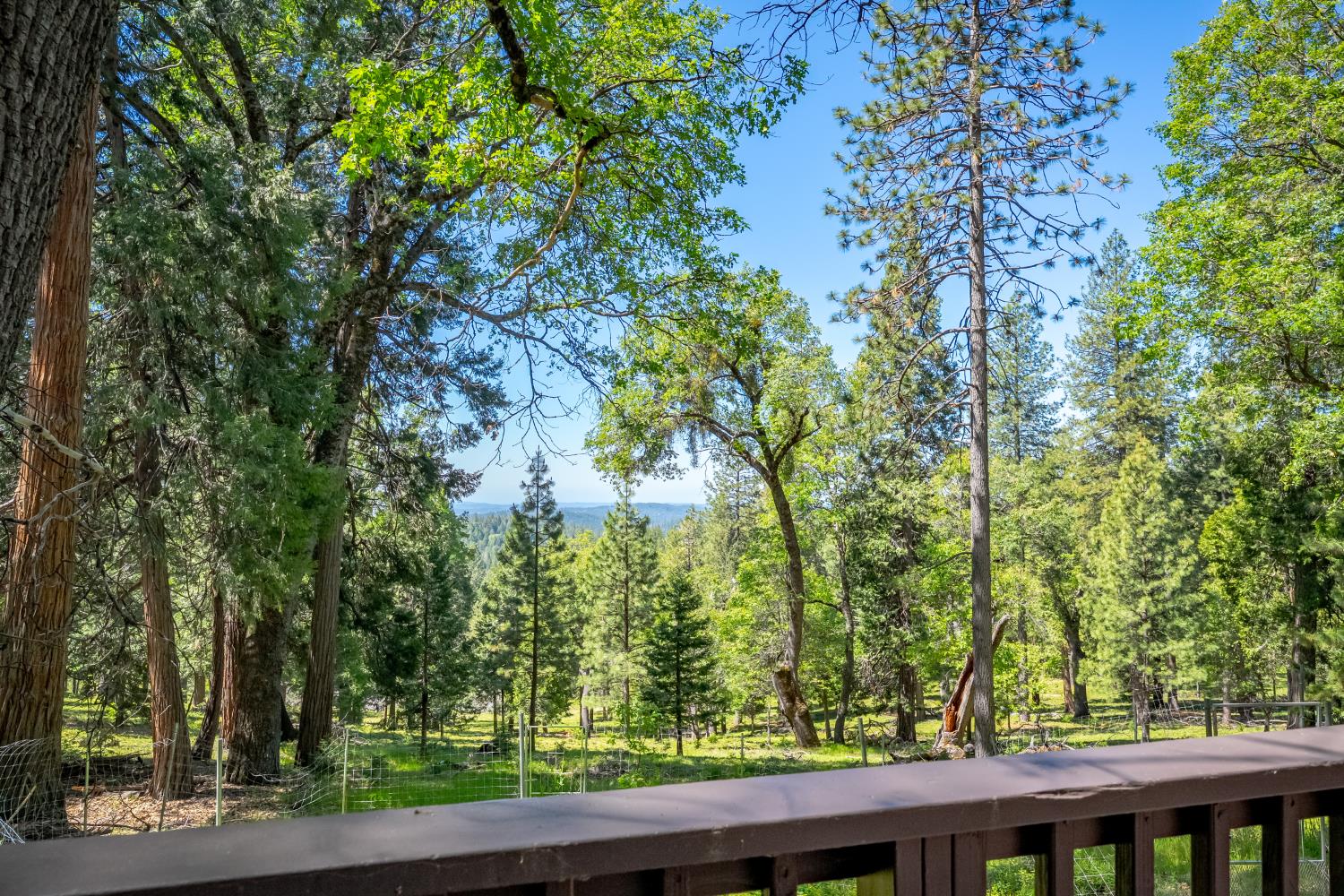 6420 Starkes Grade Road Pollock Pines, CA 95726 - Photo 9 of 58