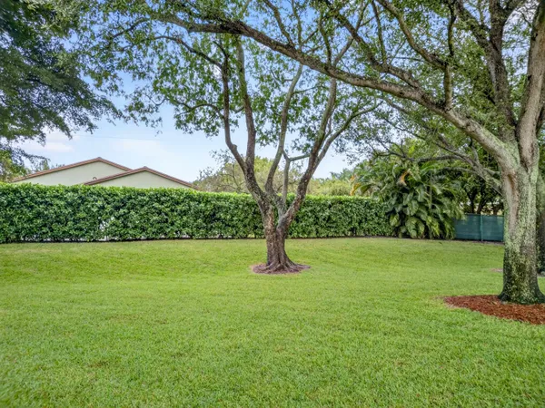 a big yard with lots of green space and plants