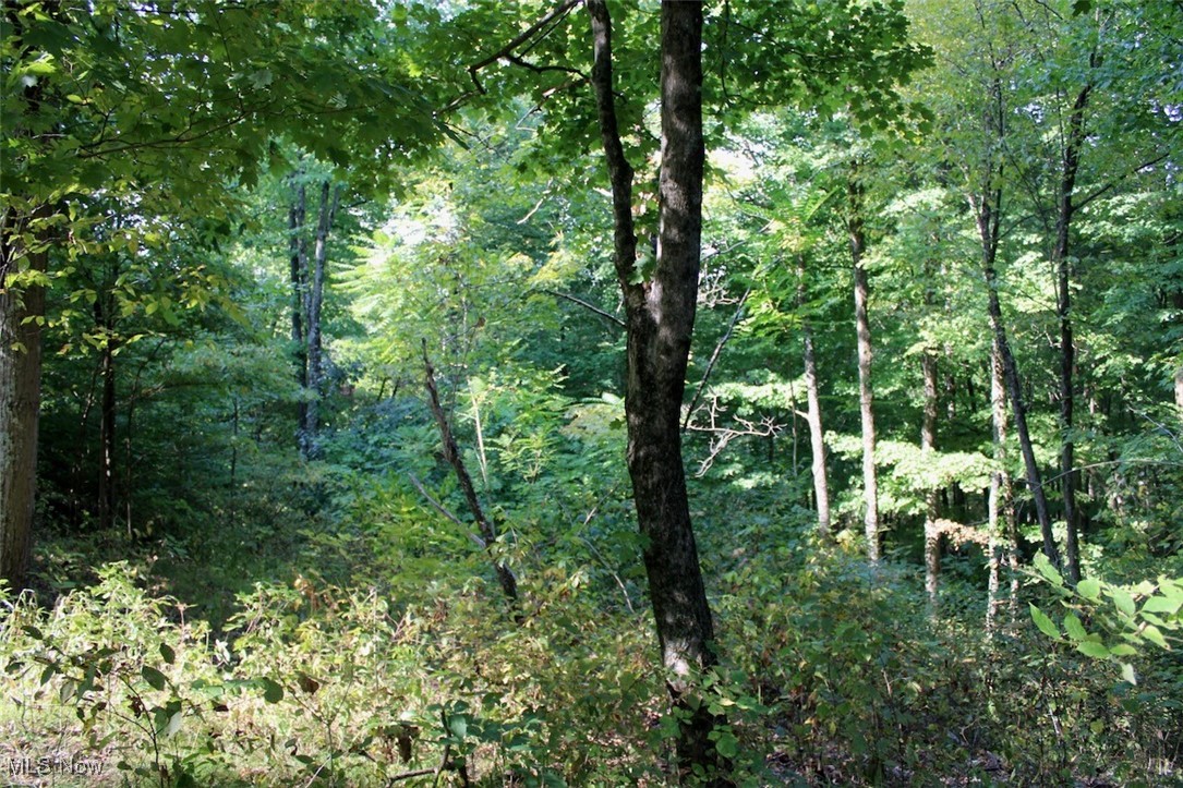 Leffler Road Roseville, OH 43777 - Photo 46 of 49 View of landscape