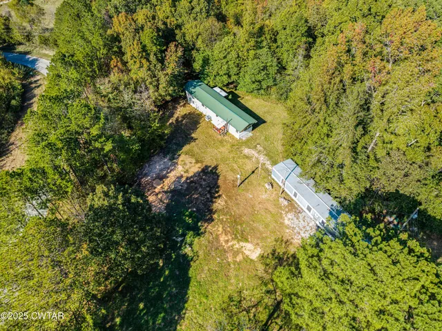 a view of a tree in a yard