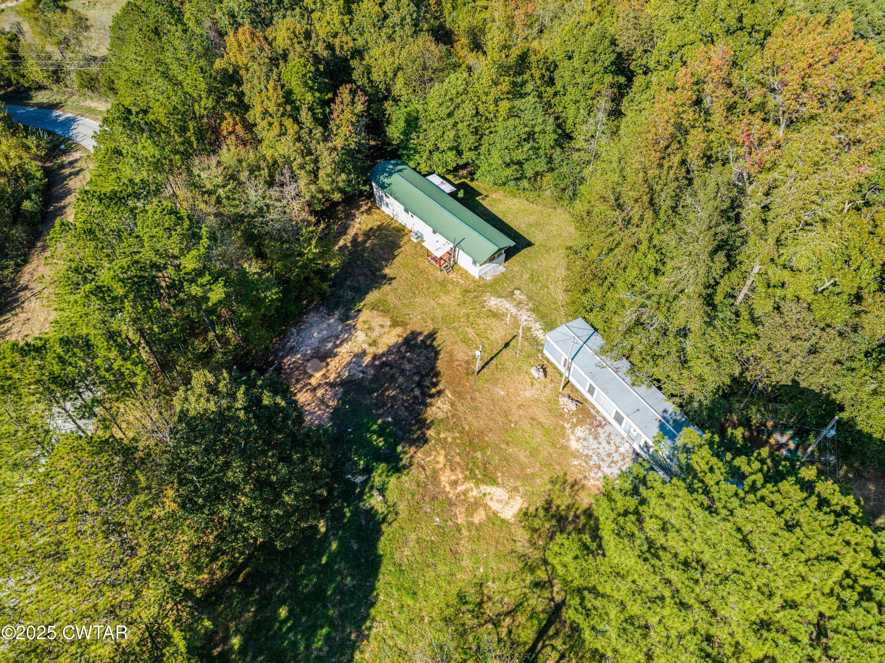 0 Charles Lane Cedar Grove, TN 38321 - Photo 9 of 16 a view of a tree in a yard