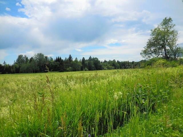 Lot 14 St Albans Road Corinna, ME 04928 - Photo 5 of 25 20180820205258724117000000-o