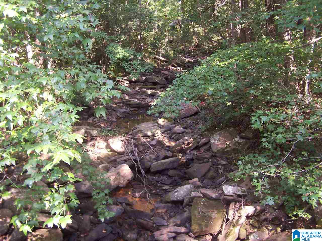 0 Jackson Trail, Unit 140 ACRES Altoona, AL 35952 - Photo 20 of 50