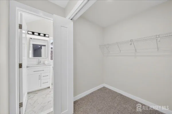 a view of storage and utility room with closet
