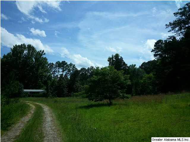 9290 Camp Oliver Road, Unit 12 000 Adger, AL 35006 - Photo 2 of 2