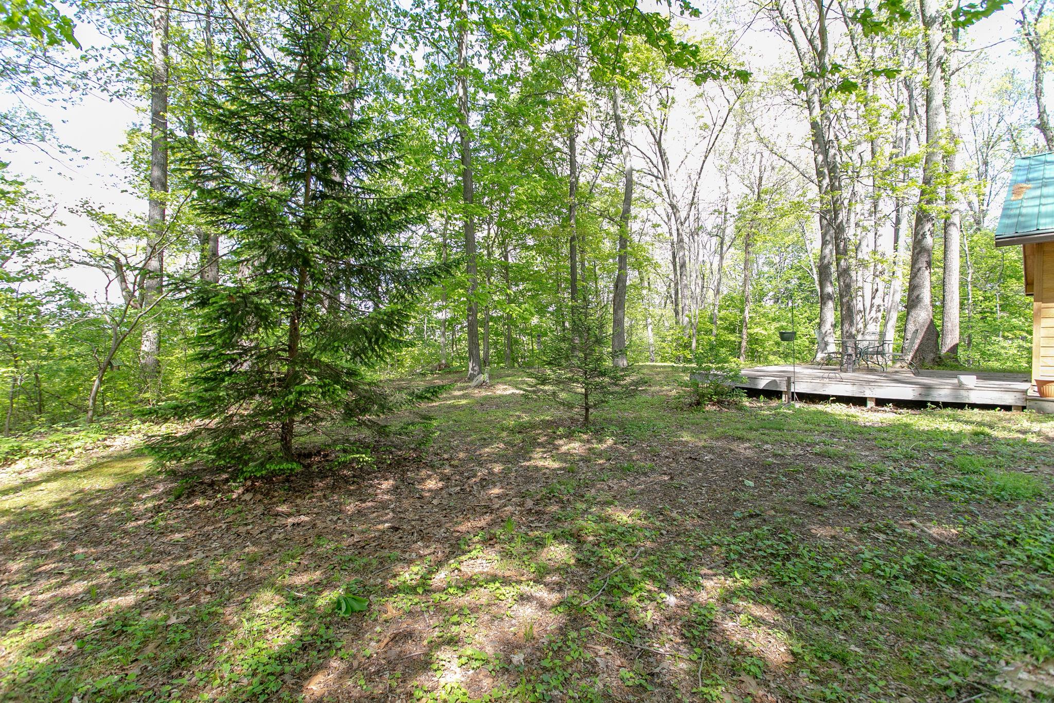 3909 Green Road Springfield, TN 37172 - Photo 4 of 25
