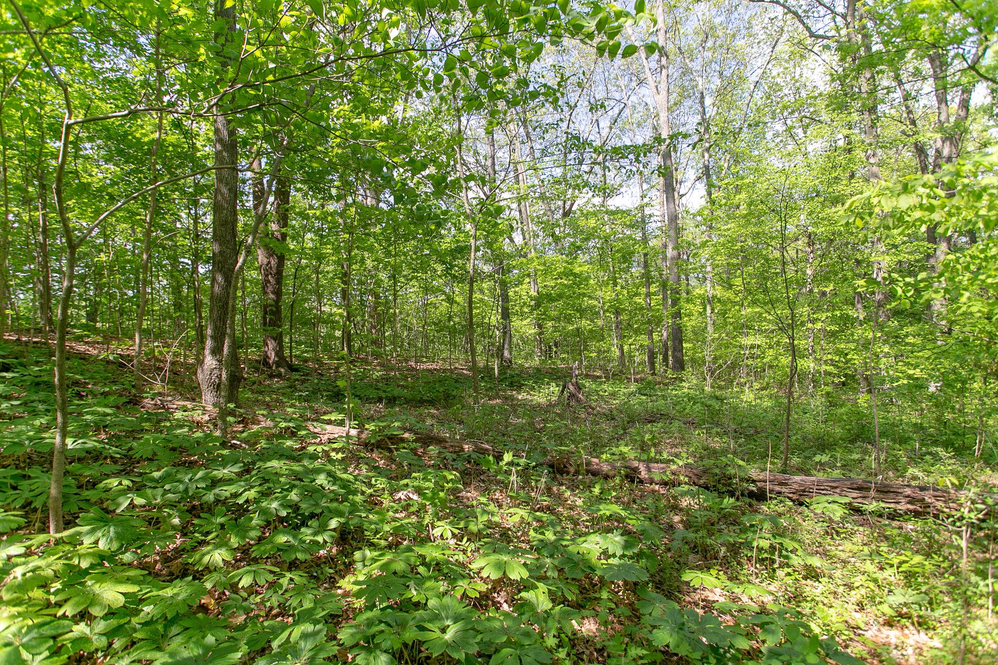 3909 Green Road Springfield, TN 37172 - Photo 5 of 25