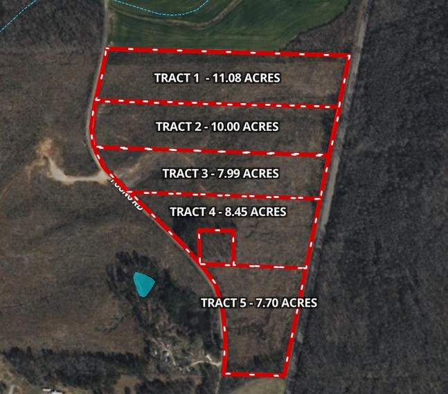 0 Young Road Finger, TN 38334 - Photo 14 of 16 a picture of flowers in a window