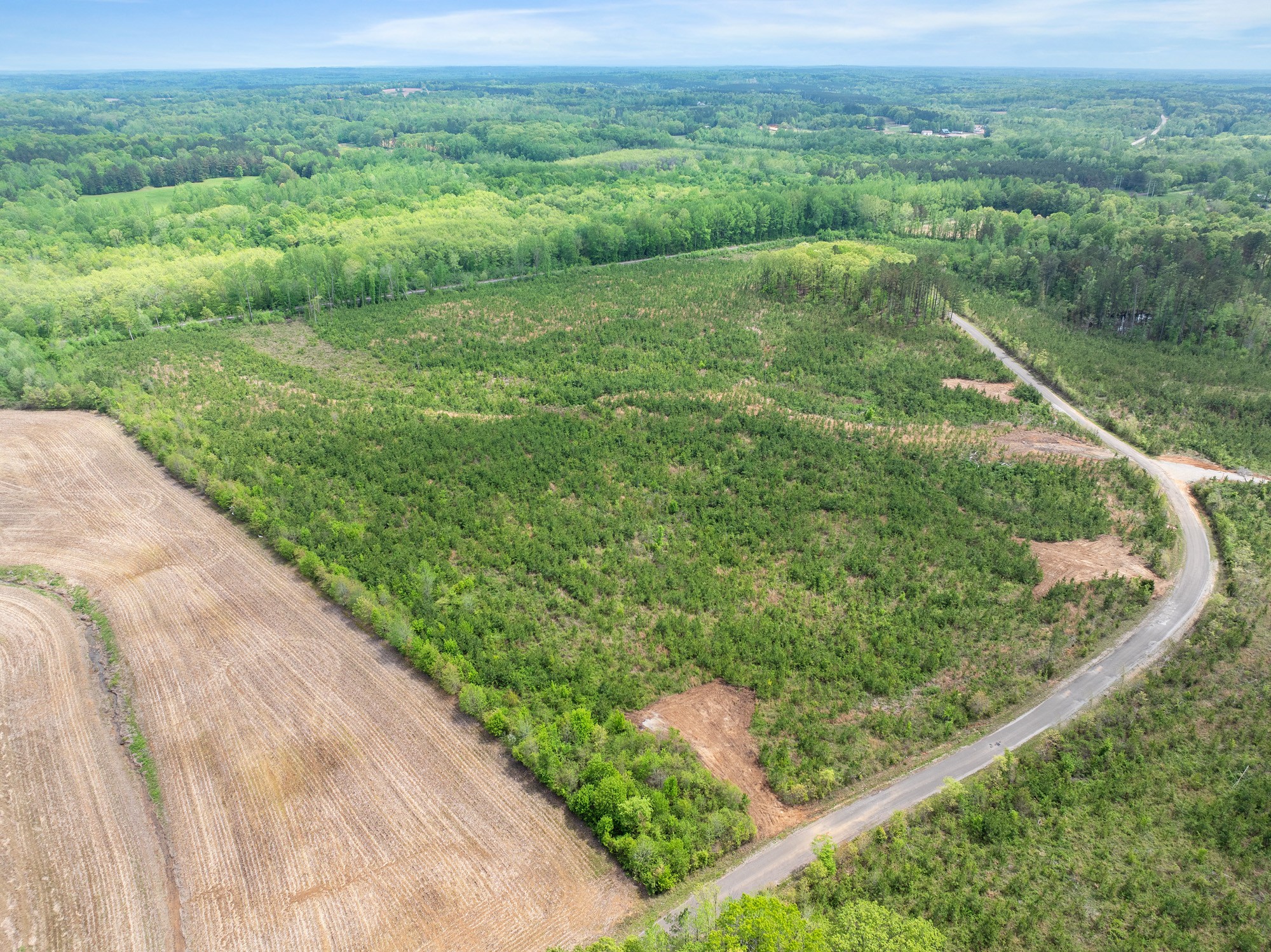 0 Young Road Finger, TN 38334 - Photo 2 of 16 a view of a green field with lots of green space