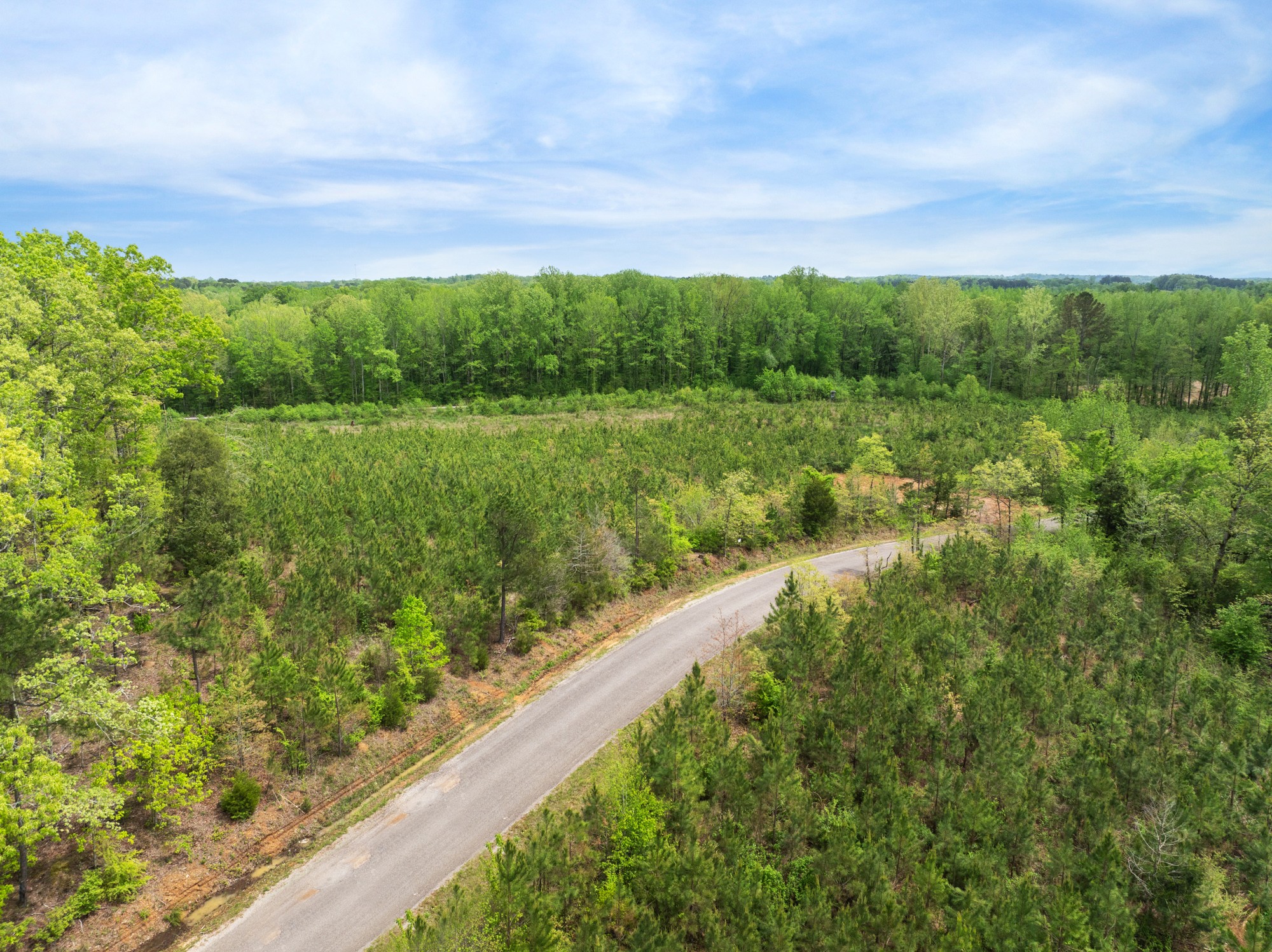 0 Young Road Finger, TN 38334 - Photo 3 of 16 a view of a garden and mountains