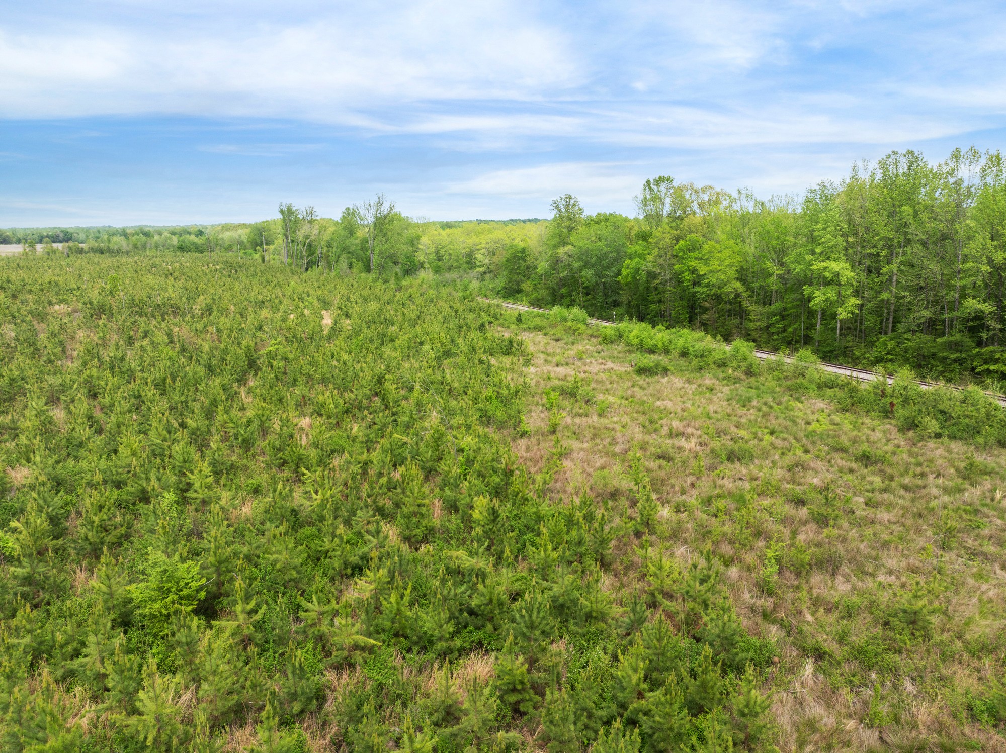 0 Young Road Finger, TN 38334 - Photo 5 of 16 a view of a field with plants and trees in the background