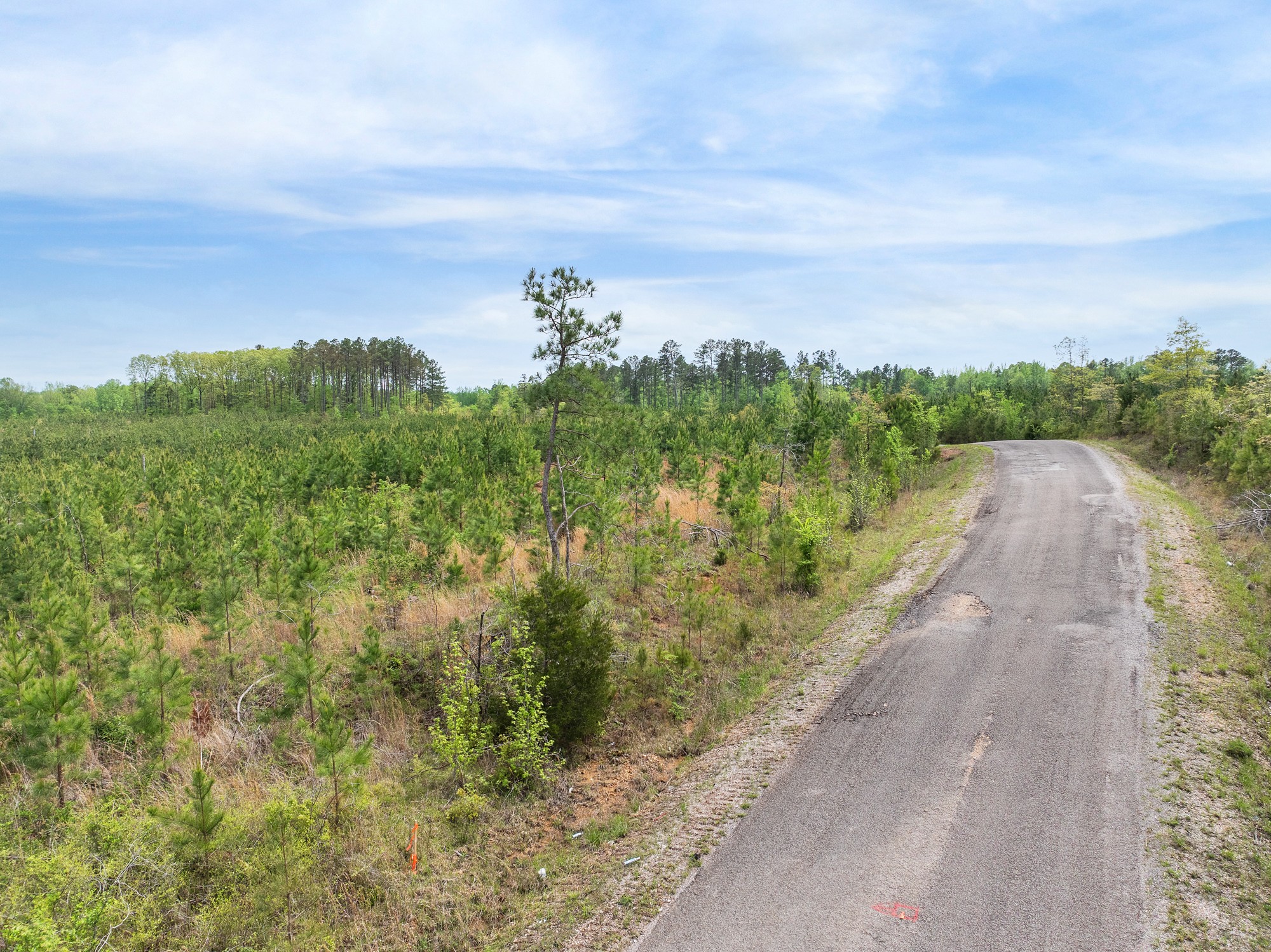 0 Young Road Finger, TN 38334 - Photo 7 of 16 a view of a pathway both side of grassy field with shrub