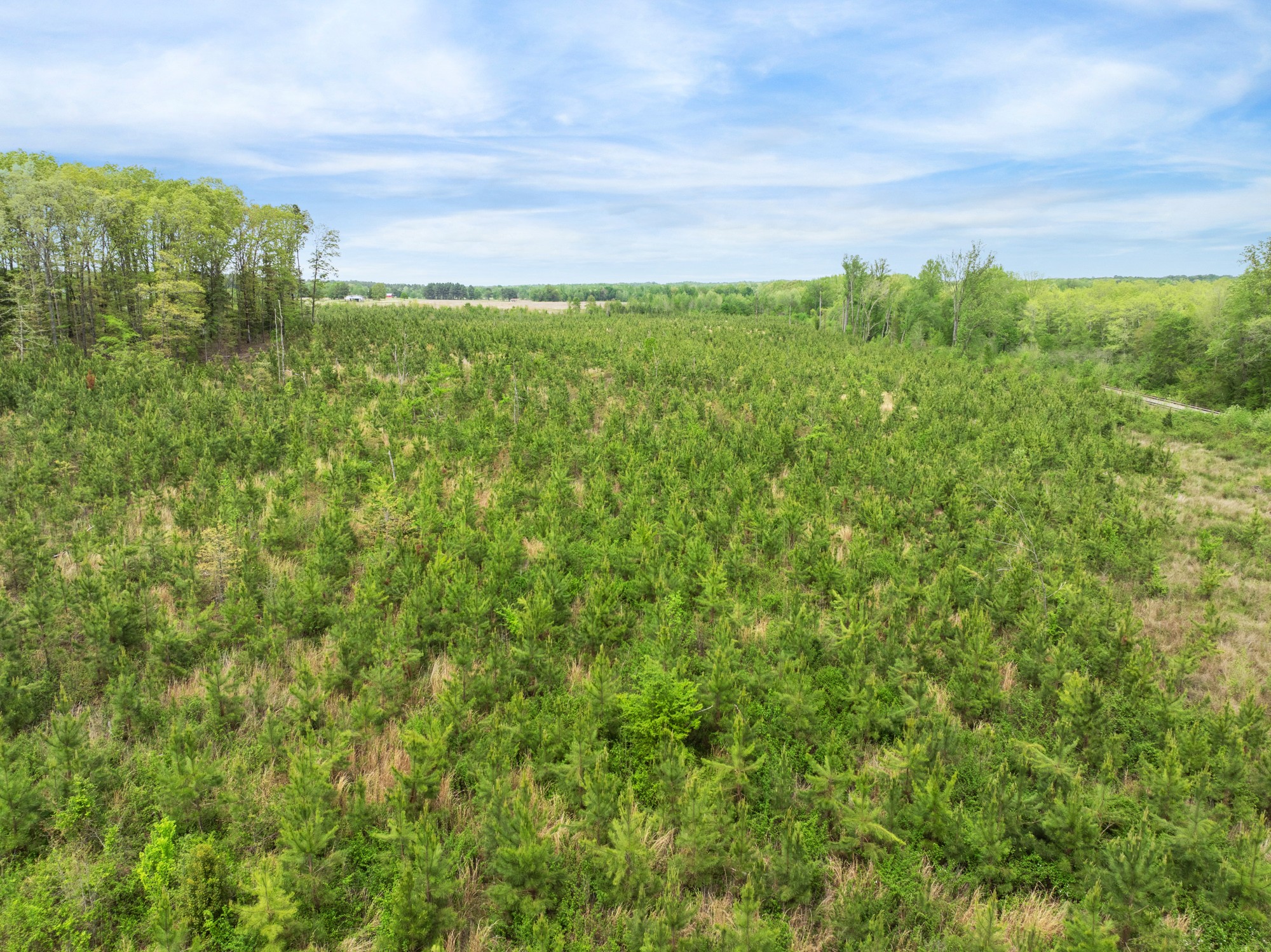 0 Young Road Finger, TN 38334 - Photo 8 of 16 a view of a bunch of trees