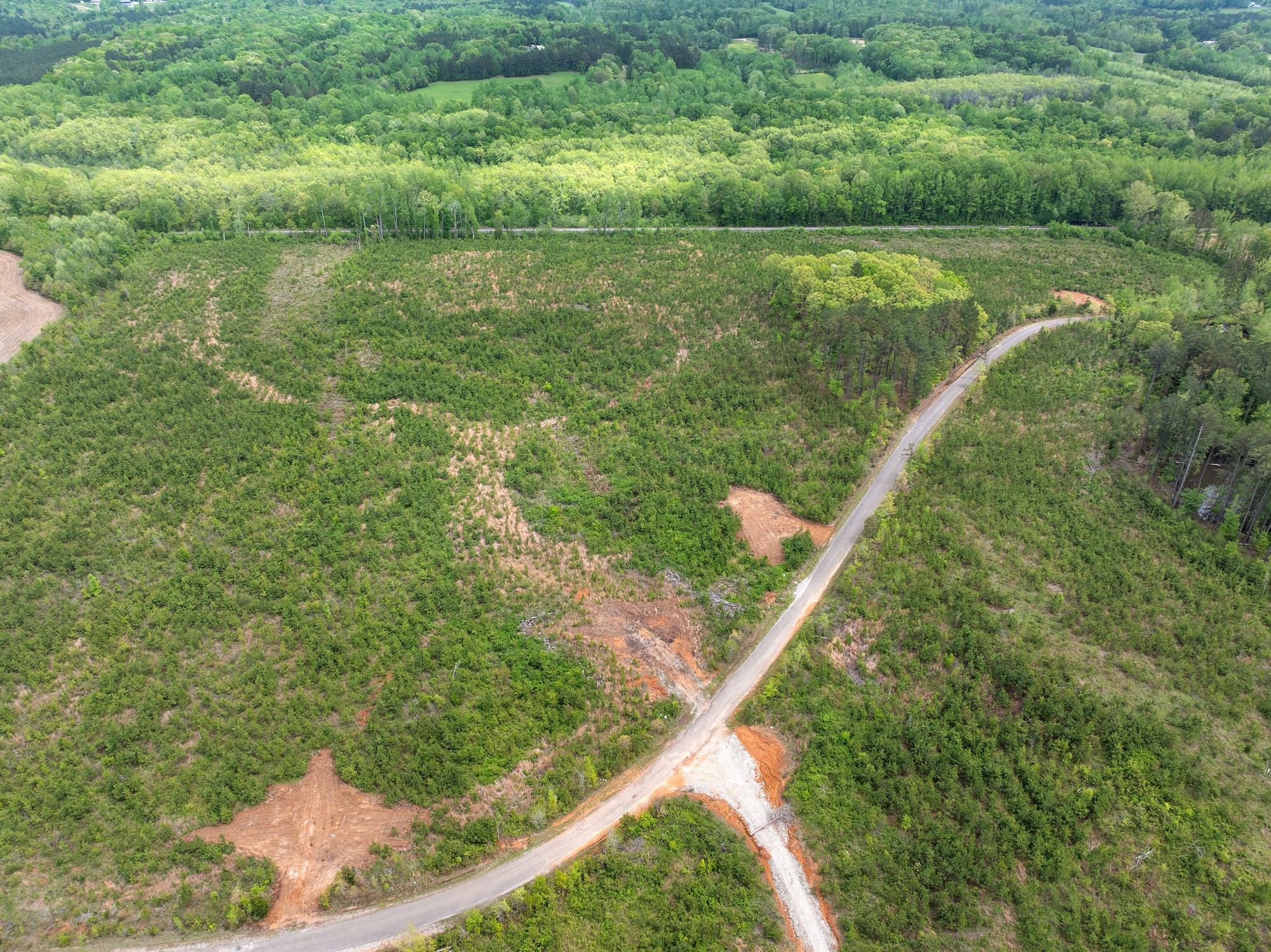 0 Young Road Finger, TN 38334 - Photo 9 of 16 a view of a field with an ocean view