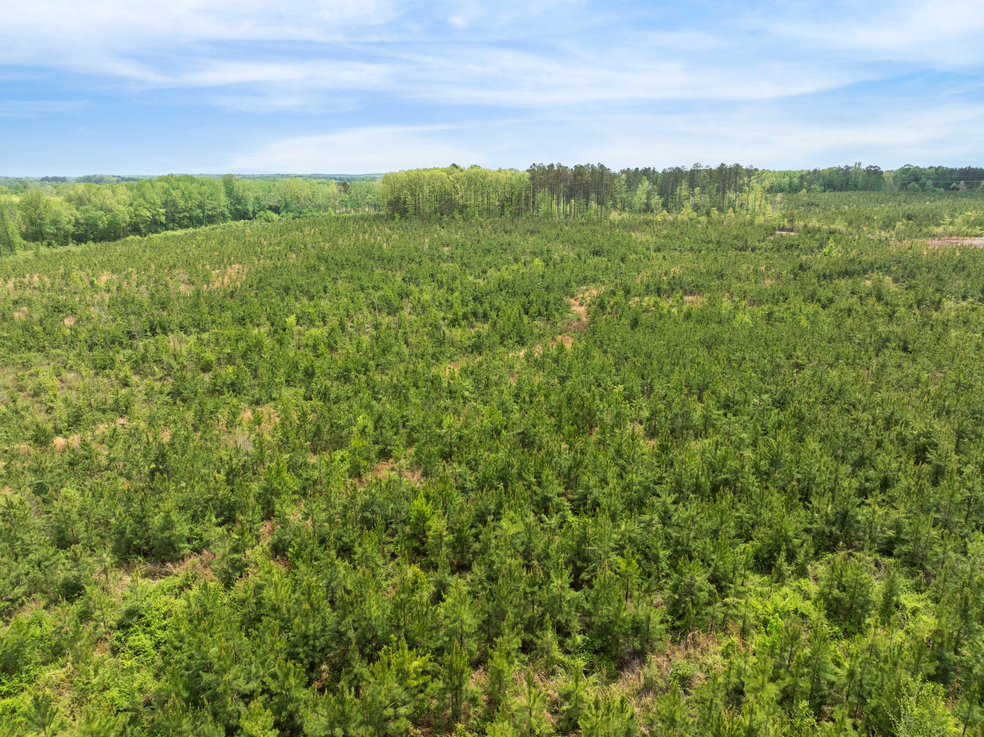 0 Young Road Finger, TN 38334 - Photo 10 of 16 a view of a lush green field