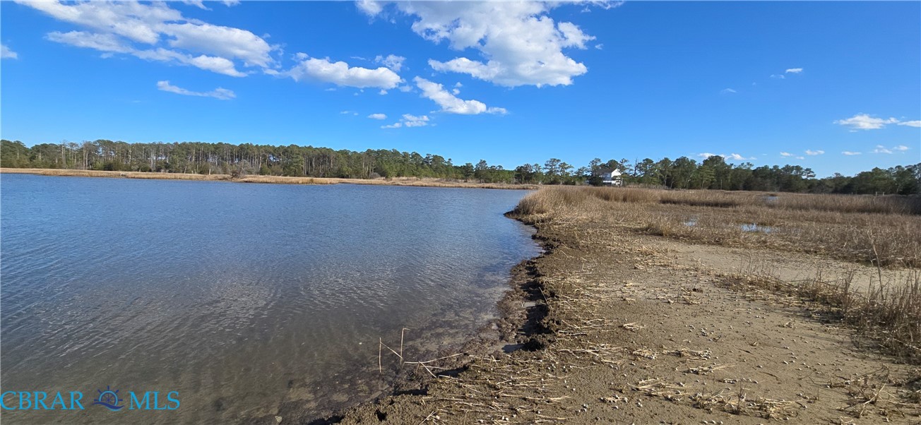 0 Haven Beach Road Moon, VA 23119 - Photo 4 of 11