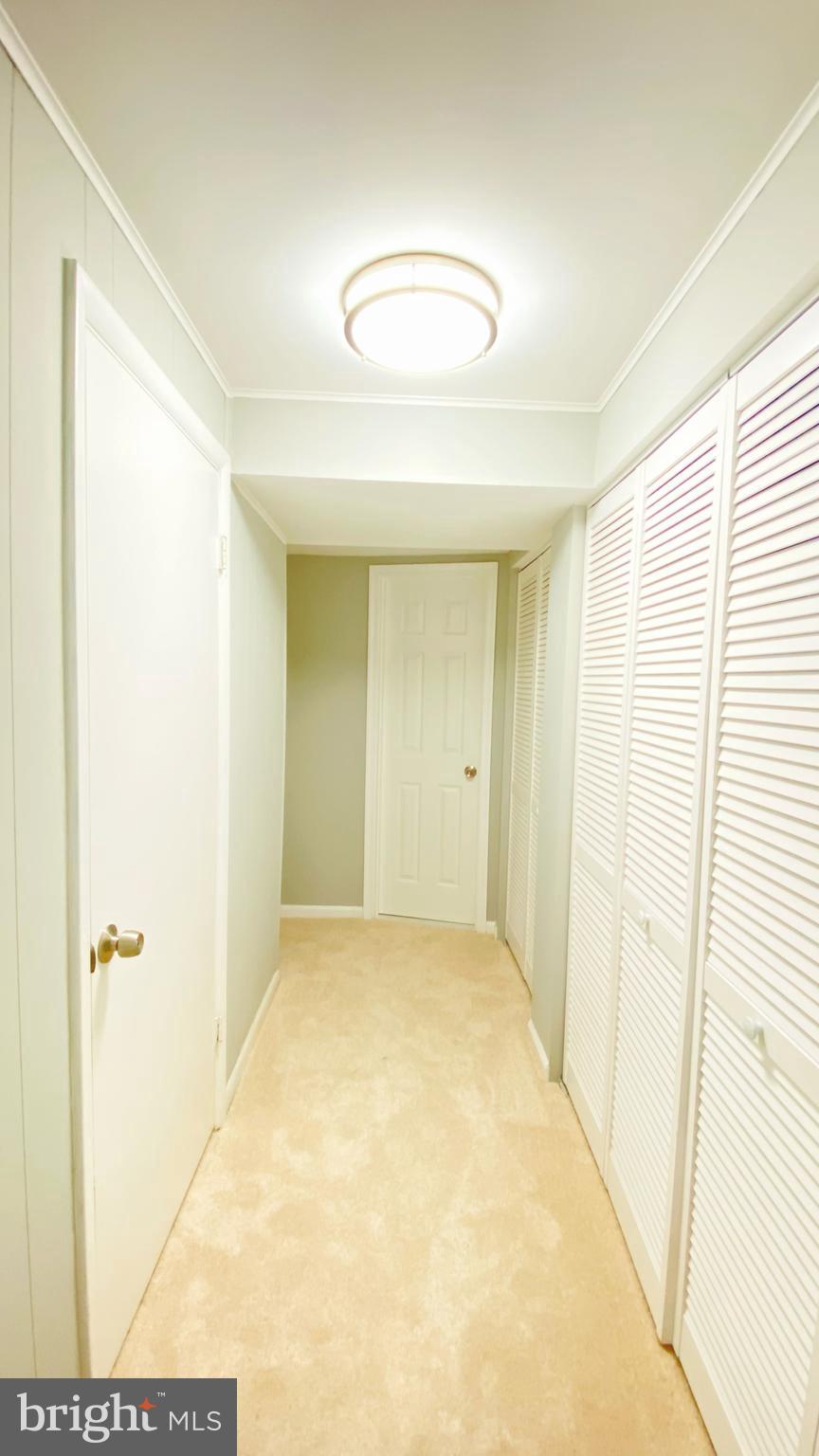 3304 Moline Road Silver Spring, MD 20902 - Photo 16 of 22