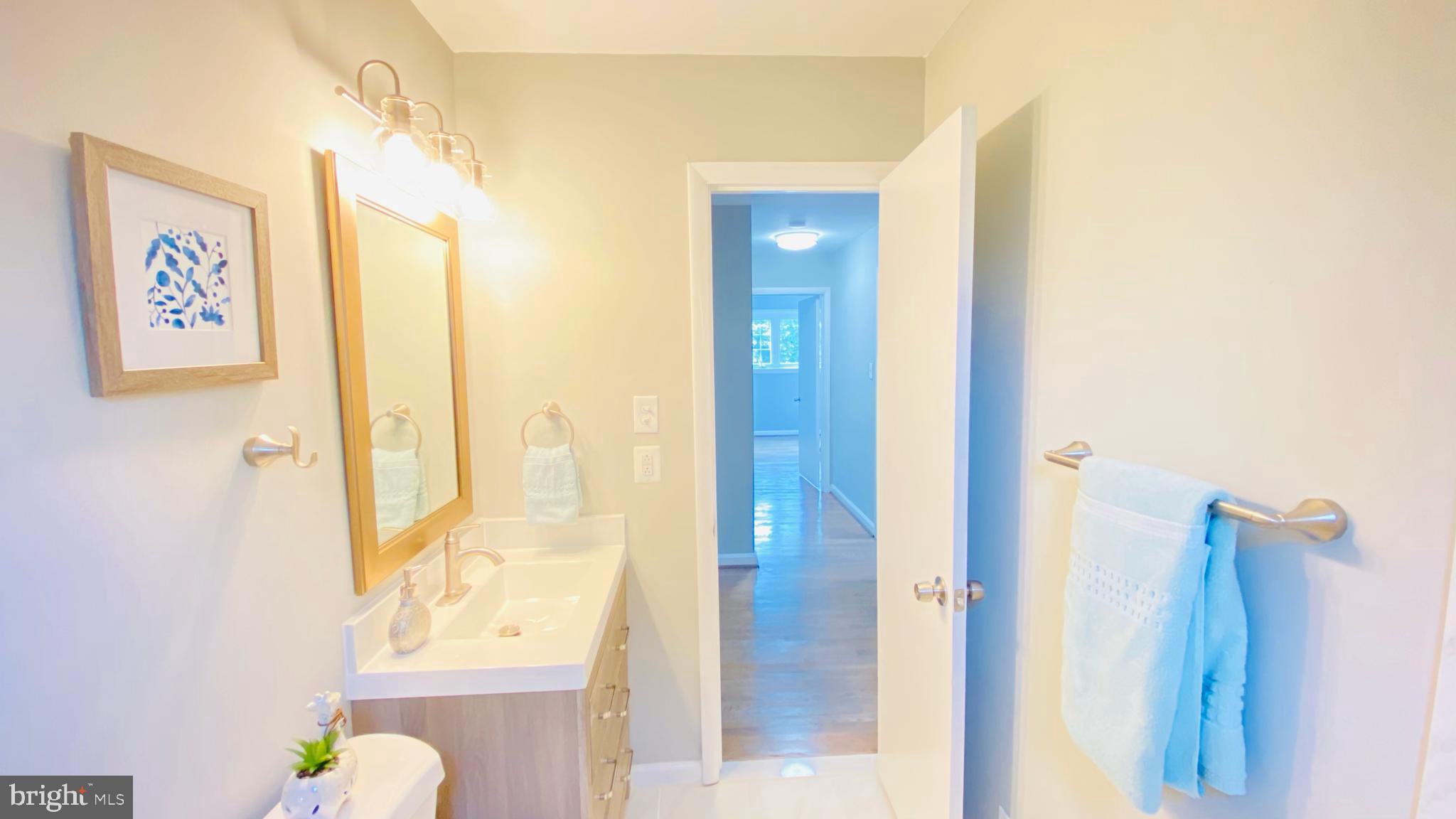 3304 Moline Road Silver Spring, MD 20902 - Photo 7 of 22