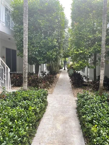 a view of a pathway with plants