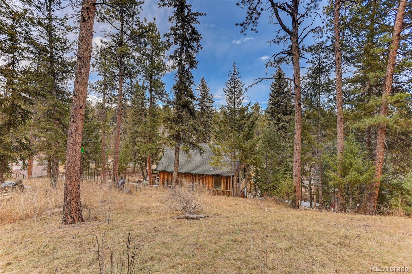 24844 North Turkey Creek Road Evergreen, CO 80439 - Photo 38 of 40