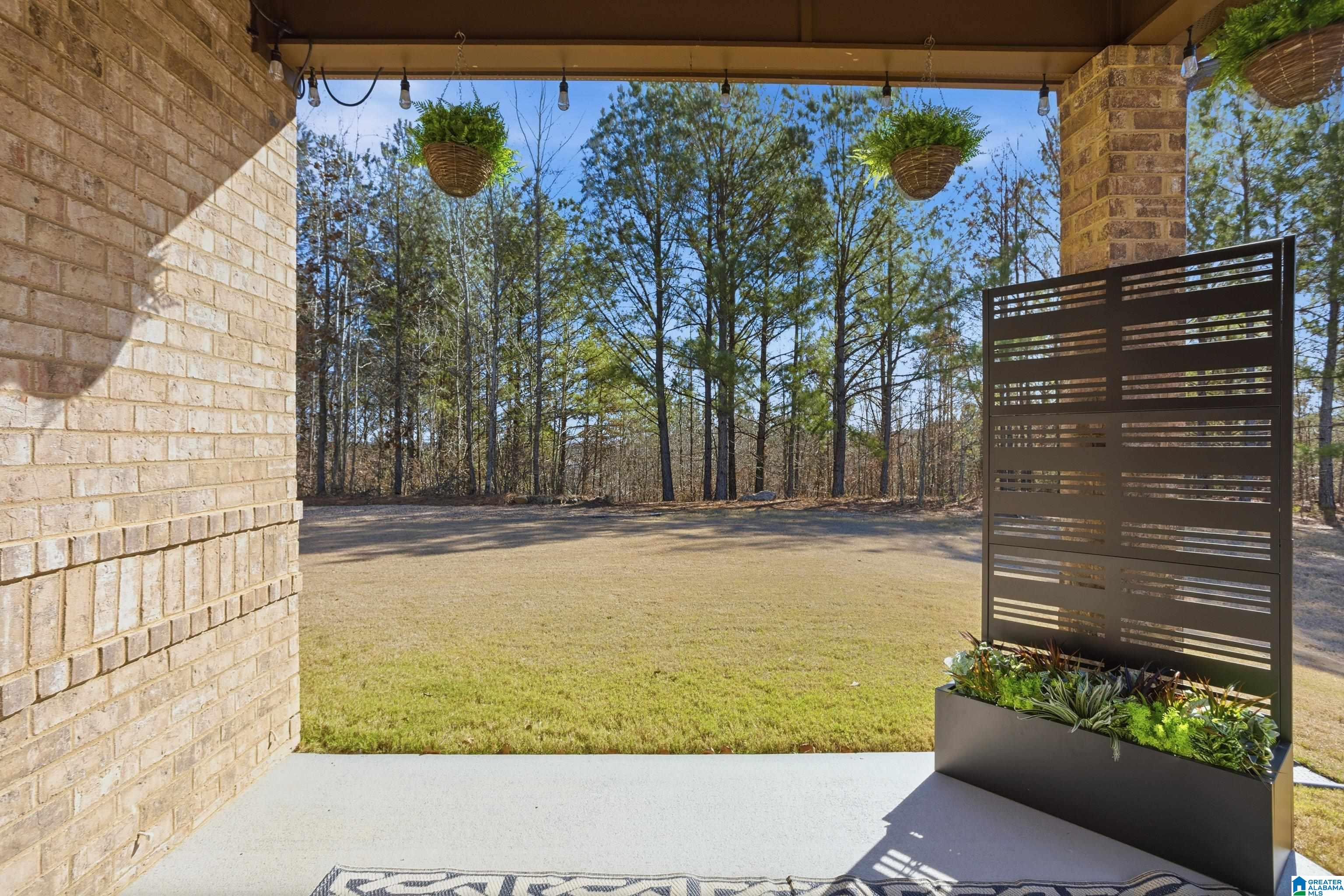 3044 Chelsea Park Ridge Chelsea, AL 35043 - Photo 30 of 51